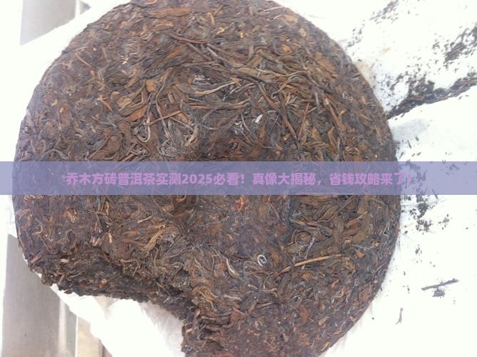 乔木方砖普洱茶