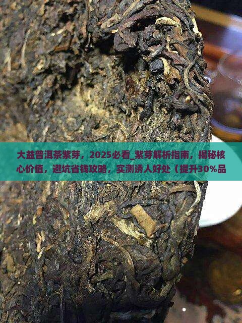 大益普洱茶紫芽