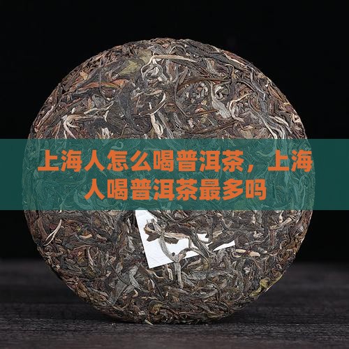 上海人怎么喝普洱茶