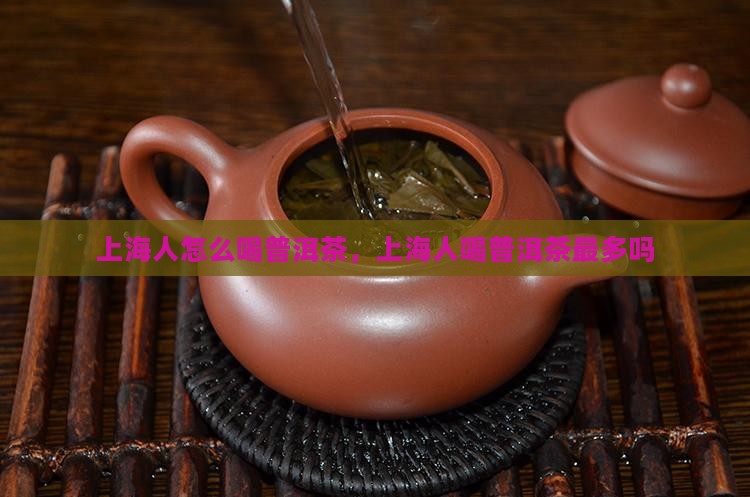 上海人怎么喝普洱茶