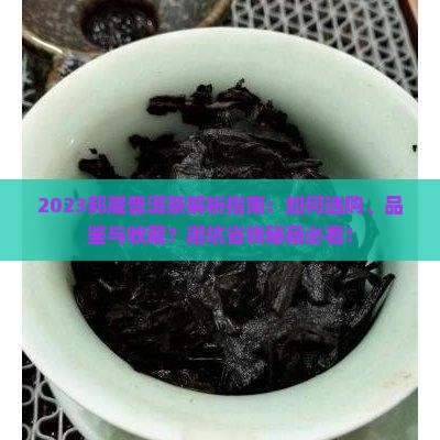 2023邦崴普洱茶