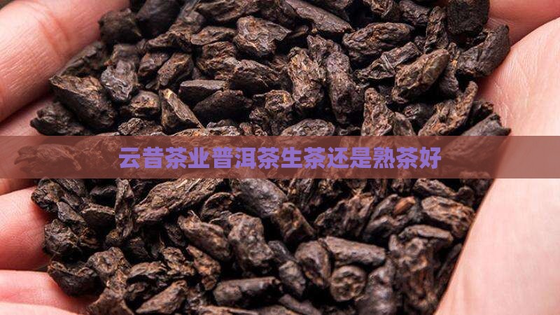 云昔茶业普洱茶生茶还是熟茶