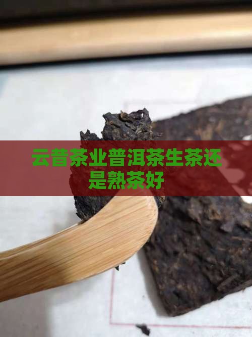 云昔茶业普洱茶生茶还是熟茶