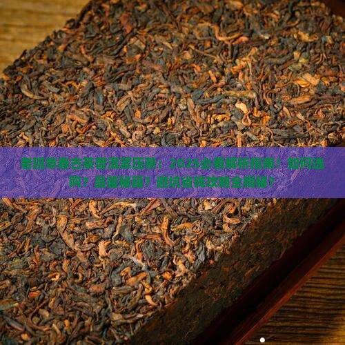 老班章春古茶普洱紧压茶