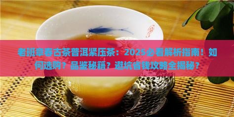 老班章春古茶普洱紧压茶
