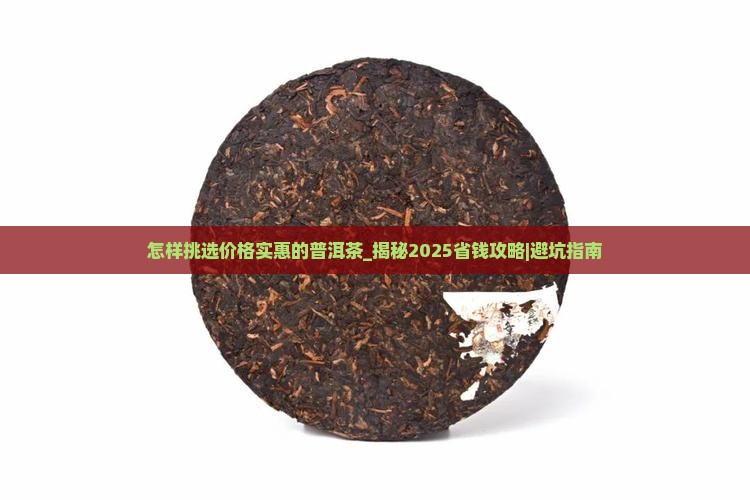 怎样挑选价格实惠的普洱茶