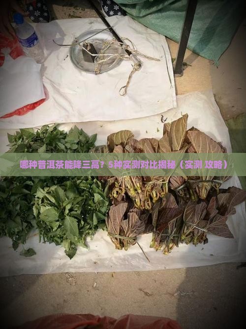 哪种普洱茶能降三高