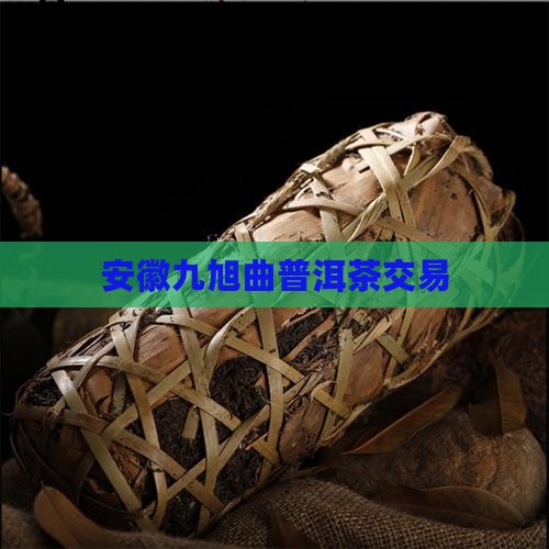 安徽九旭曲普洱茶交易
