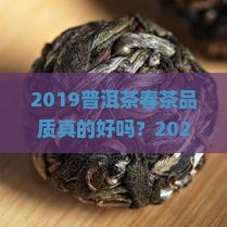 2019普洱茶春茶品质