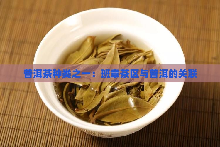 班章茶属于哪个茶区