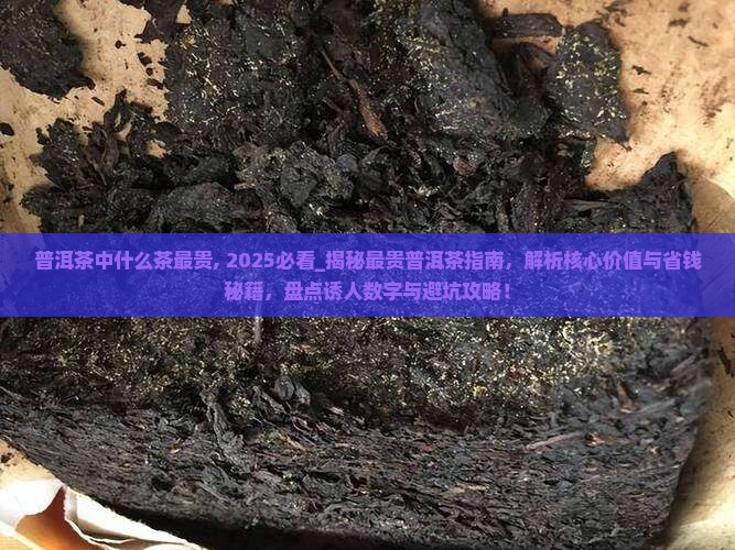 普洱茶中什么茶最贵