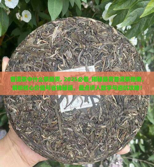 普洱茶中什么茶最贵