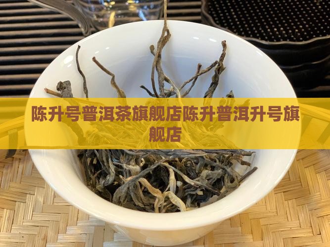 陈升号普洱茶官方旗舰店