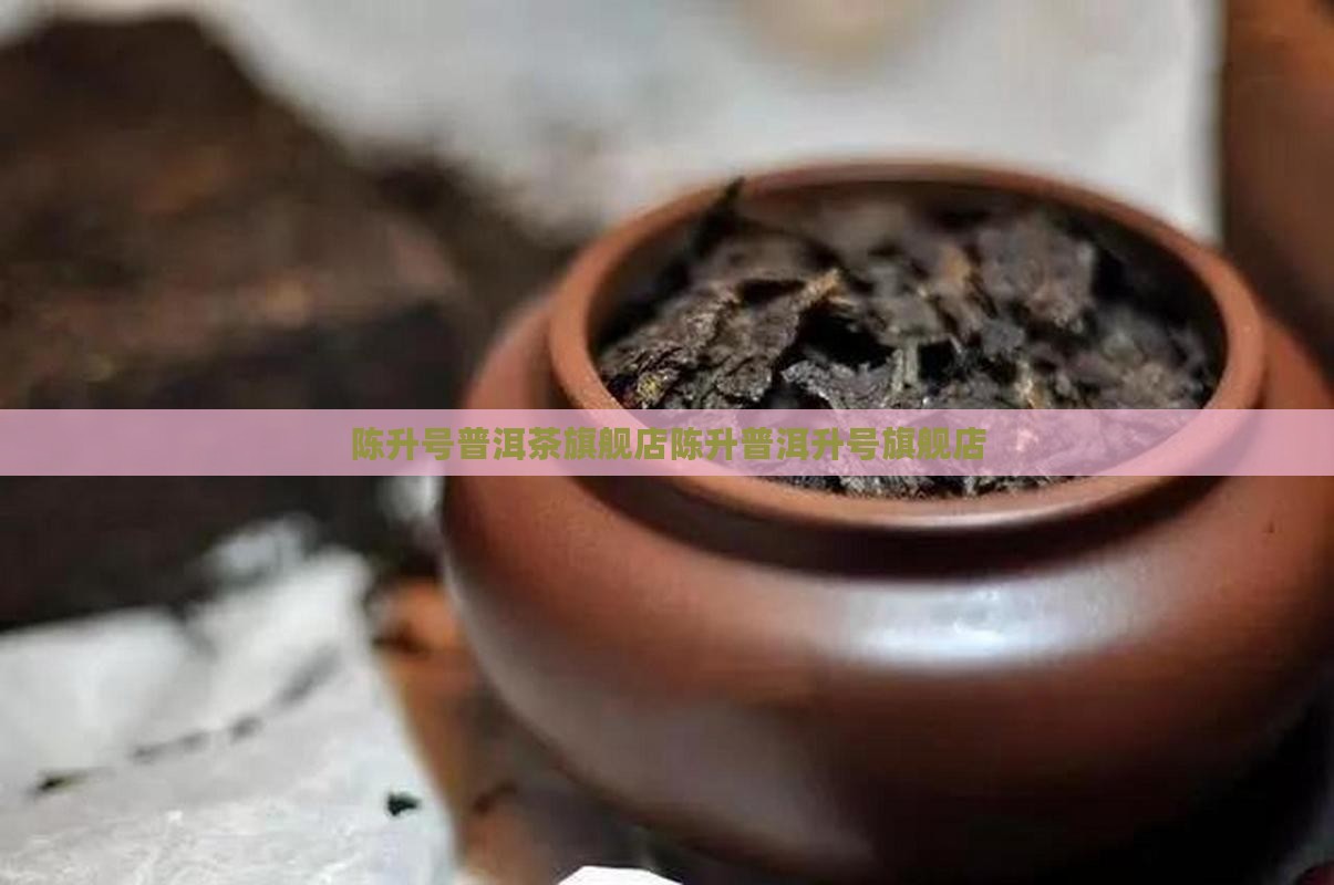 陈升号普洱茶官方旗舰店
