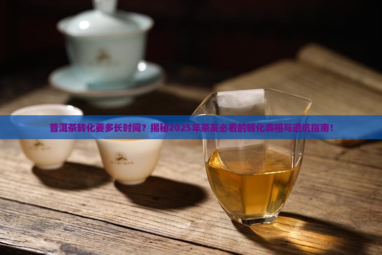 普洱茶转化要多长时间