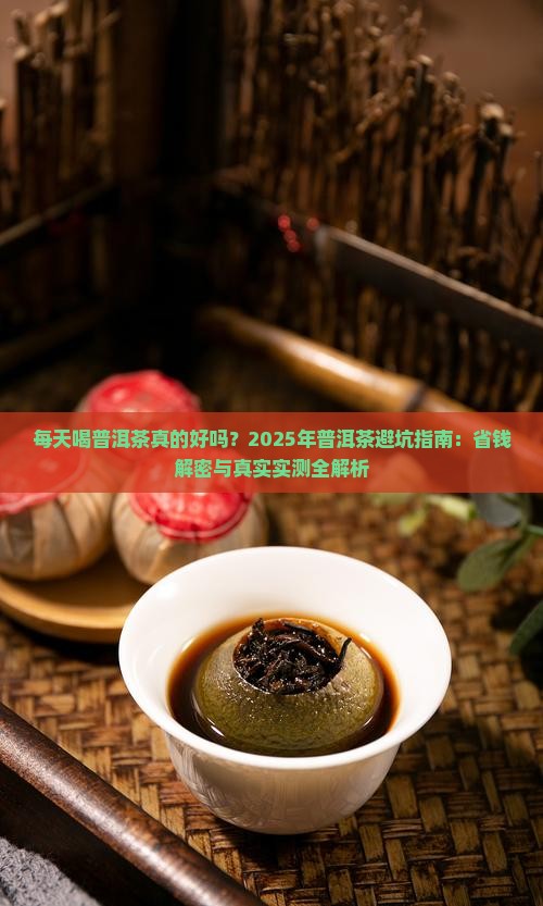 每天喝普洱茶名