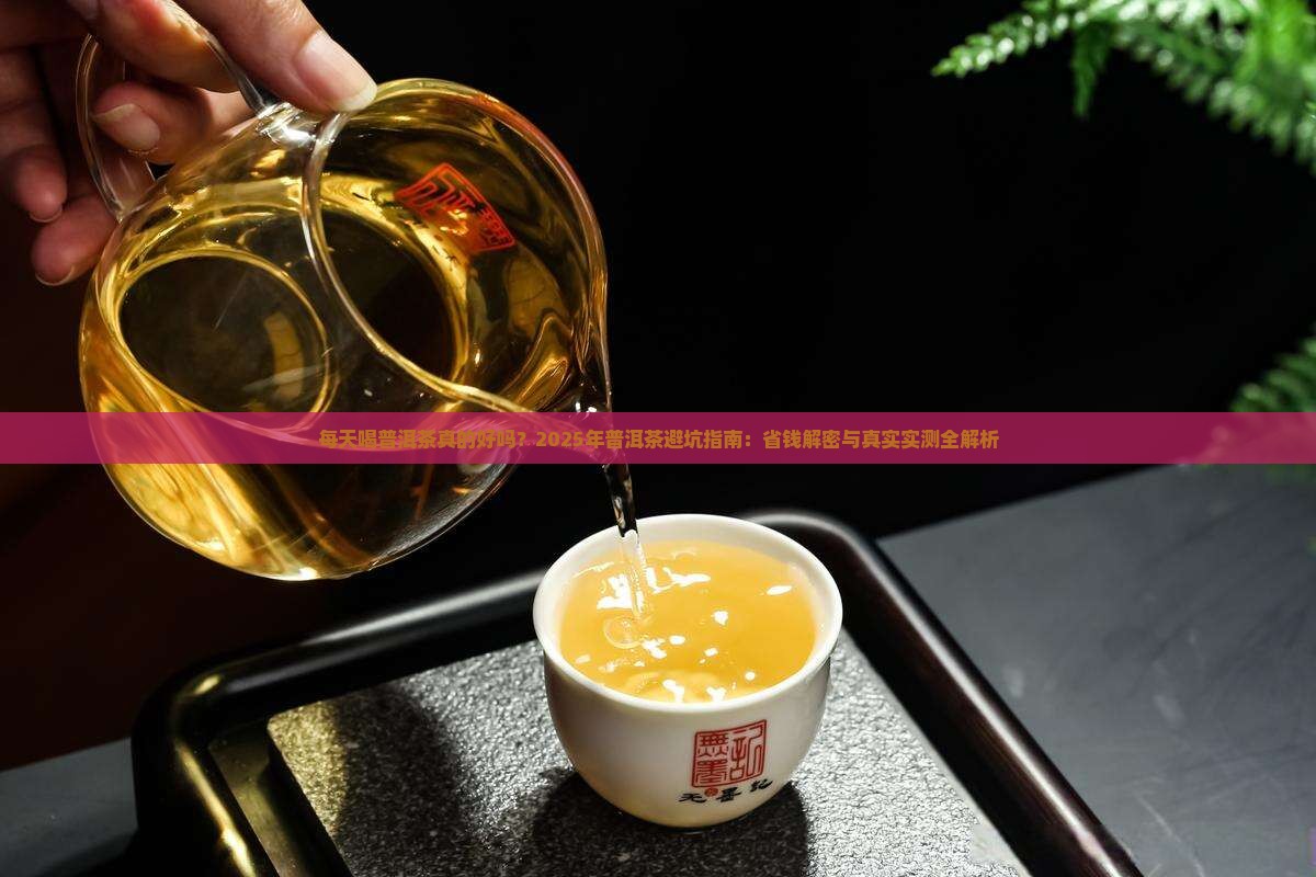 每天喝普洱茶名