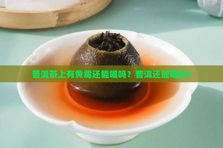 普洱茶上有黄霉能喝