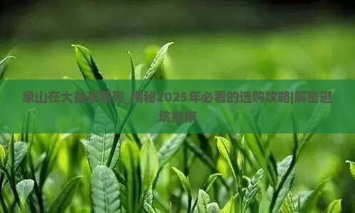 象山在大益茶系列