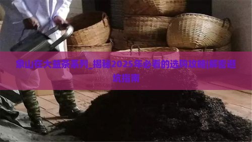象山在大益茶系列