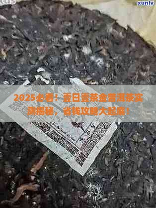 壹日壹茶金普洱茶