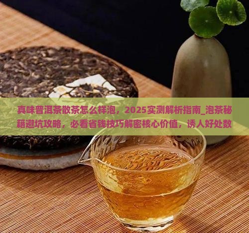 真味普洱茶散茶怎么样泡