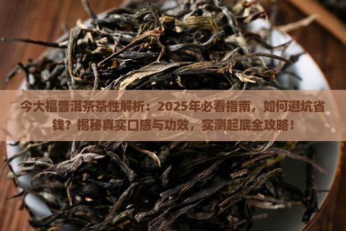 今大福普洱茶的茶性