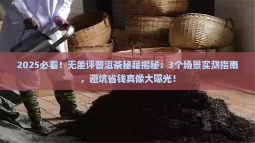 无差评的普洱茶
