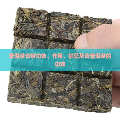 普洱茶青茶功效
