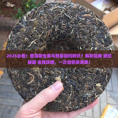 如何辨识普洱茶生茶和熟茶