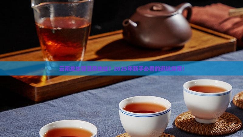 云南龙生普洱茶地址