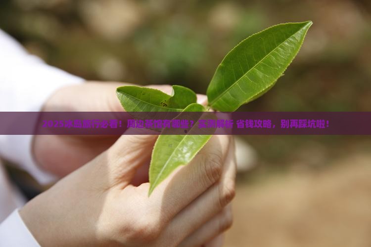 冰岛周边的茶怎样