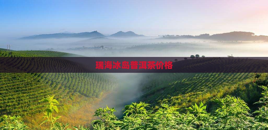 瑞海冰岛普洱茶