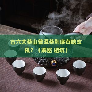 古六大茶山普洱茶