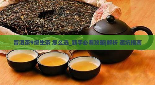 普洱茶9级生茶怎样 普洱茶9级生茶怎样