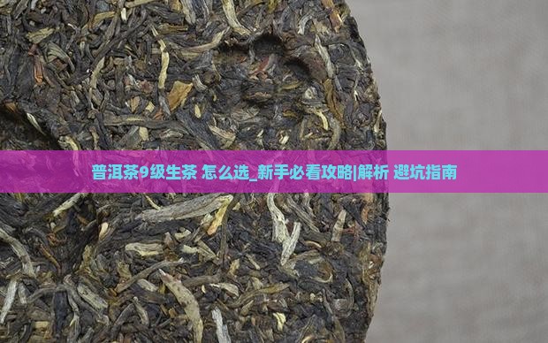 普洱茶9级生茶怎样 普洱茶9级生茶怎样