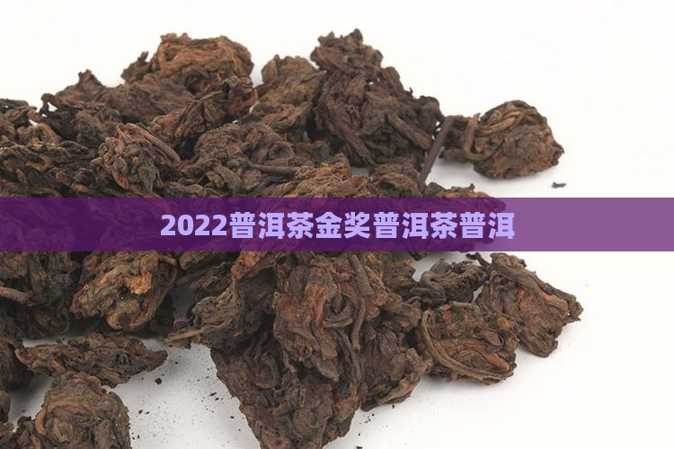 2022普洱茶金奖