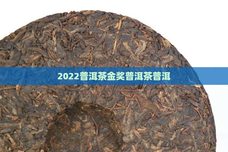 2022普洱茶金奖