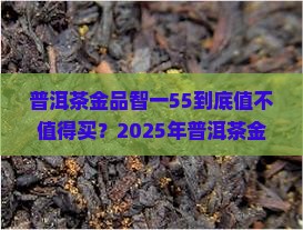 普洱茶金品智一55