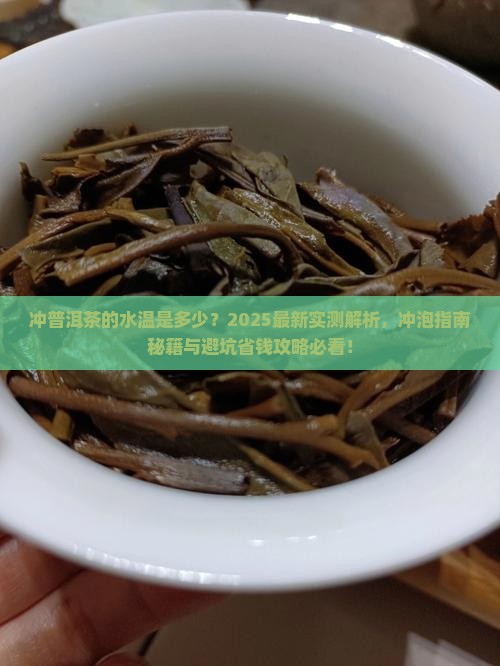 冲普洱茶的水温是多少