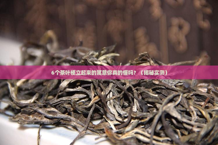 茶叶梗立起来的寓意
