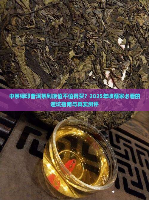 中茶绿印普洱茶