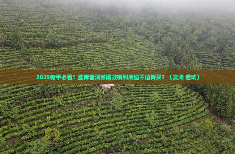 勐库普洱茶爆款榜