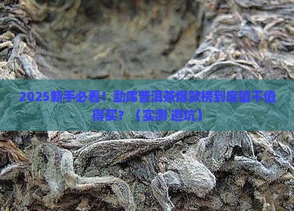 勐库普洱茶爆款榜