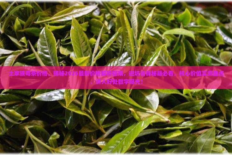 土家族莓茶价格
