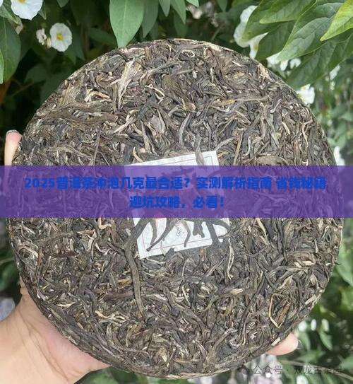 普洱茶需要几克