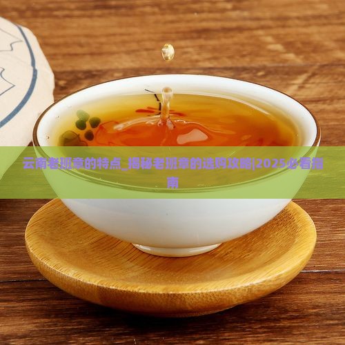 云南老班章的特点