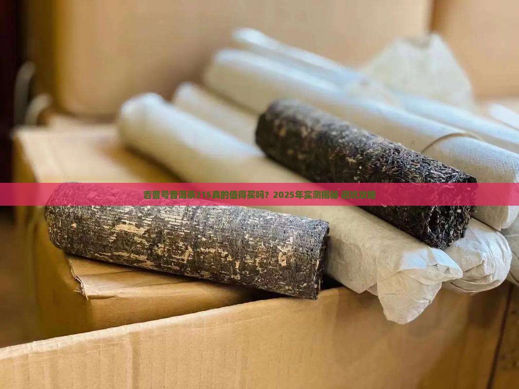 吉普号普洱茶215怎么样