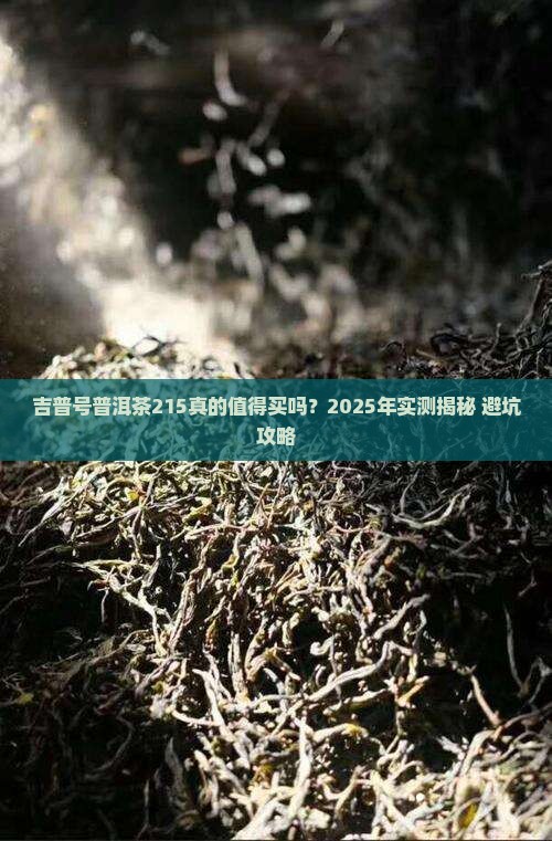 吉普号普洱茶215怎么样