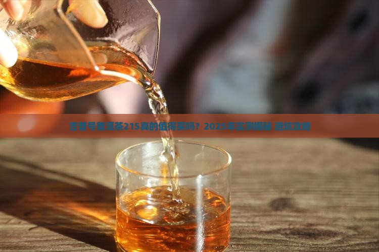 吉普号普洱茶215怎么样